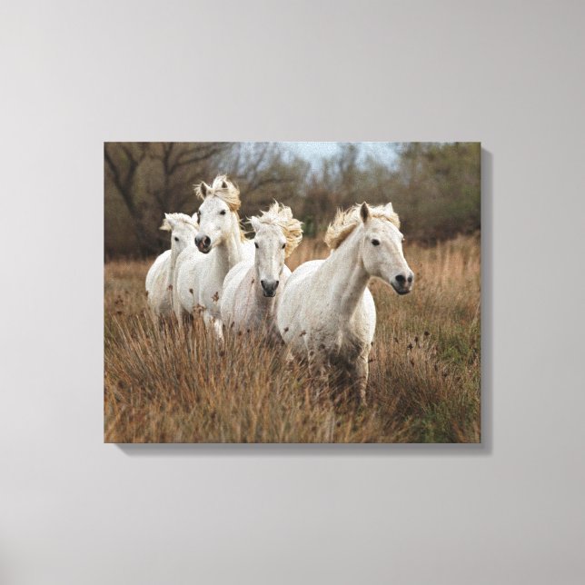 Impressão Em Tela Cavalos Camargue em corrida (Frente)