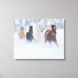 Impressão Em Tela Cavalos Correndo Pela Neve