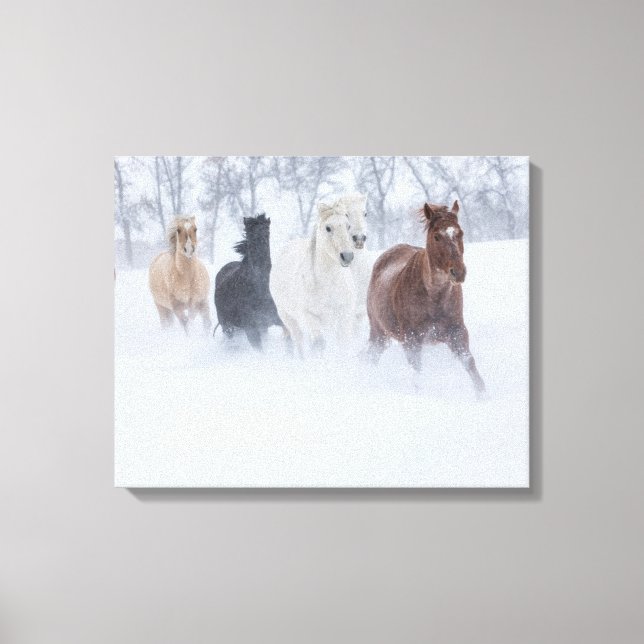 Impressão Em Tela Cavalos Correndo Pela Neve (Frente)