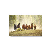 Cavalos cruzando o topo de uma pequena colina dura