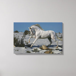 Impressão Em Tela Cavalos da fantasia: Rei da neve
