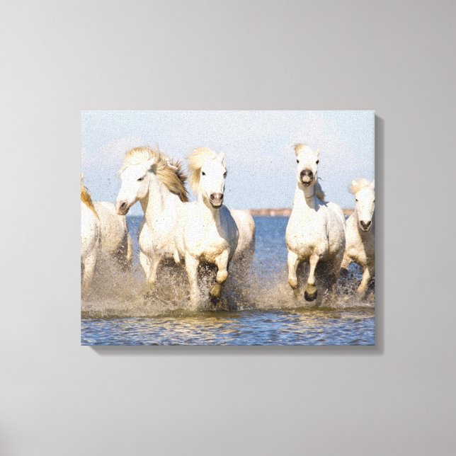 Impressão Em Tela Cavalos de Camargue (Frente)