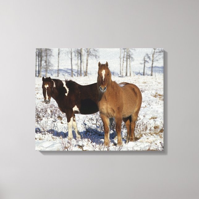 Impressão Em Tela Cavalos de Tinta na Neve (Frente)