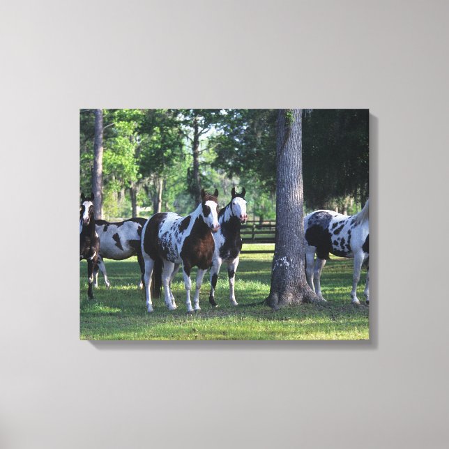 Impressão Em Tela Cavalos de Tintas nas Árvores (Frente)