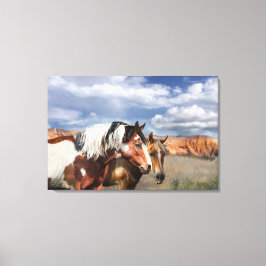 Impressão Em Tela Cavalos Mustang na natureza, Stallion e sua égua.