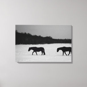 Impressão Em Tela Cavalos na neve 24x16 (60x40cm)