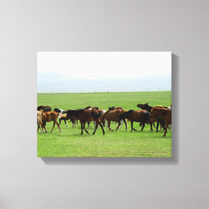 Impressão Em Tela Cavalos na Pastura - Fotografia Paisagem