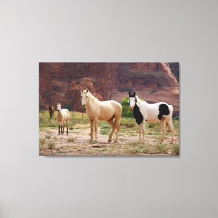 Impressão Em Tela Cavalos Navajos Correm Livres no Chão do Canyon