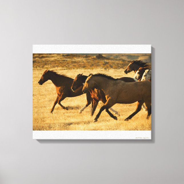 Impressão Em Tela Cavalos selvagens (Frente)
