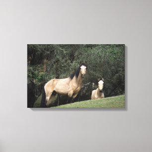 Impressão Em Tela Cavalos selvagens 6 do mustang