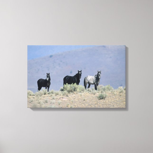 Impressão Em Tela Cavalos Selvagens Mustang no Deserto 3 (Frente)