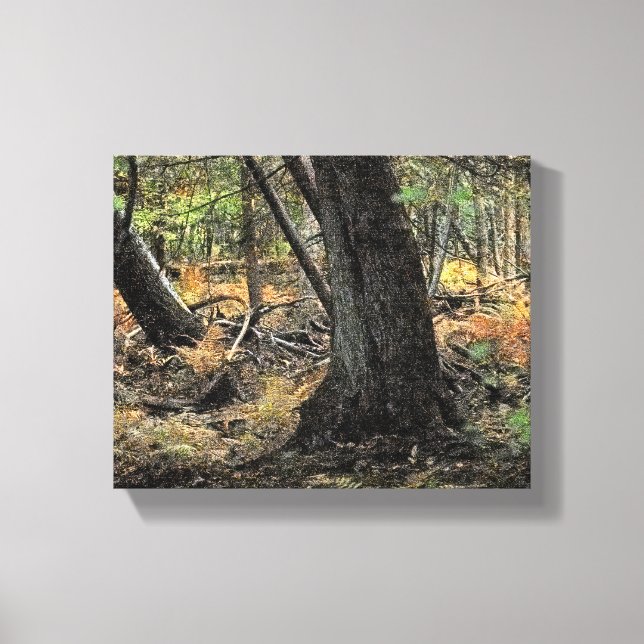 Impressão Em Tela Cena da floresta do outono (Frente)