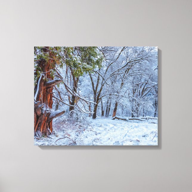 Impressão Em Tela Cena de Floresta de Neve (Frente)