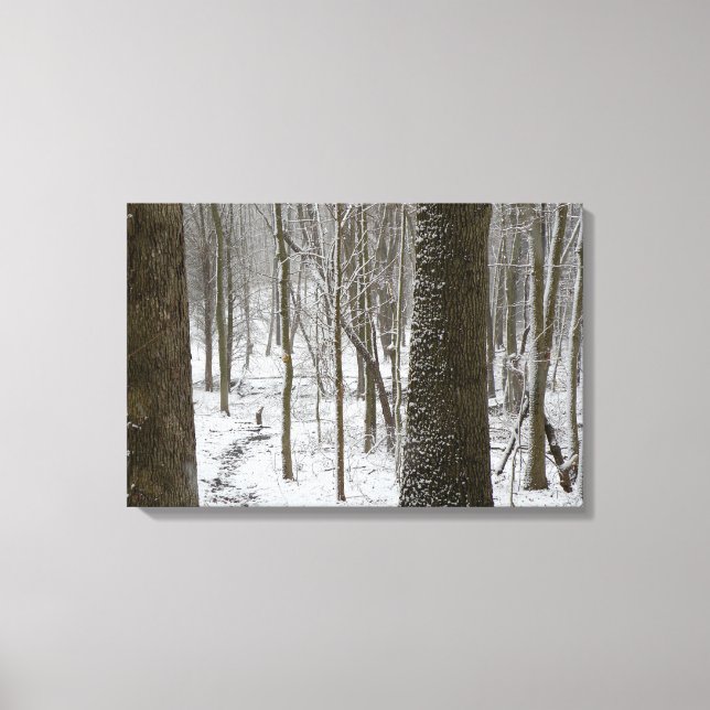 Impressão Em Tela Cena de Floresta Nevada (Frente)