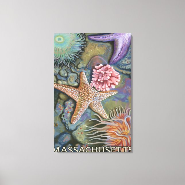 Impressão Em Tela Cena de MassachusettsTidepool (Frente)