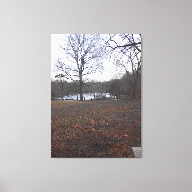 Impressão Em Tela Central Park, Nova Iorque, EUA (Frente)