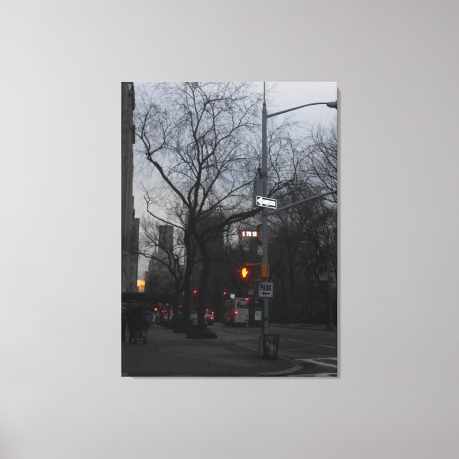 Impressão Em Tela Central Park, Nova Iorque, EUA (Frente)