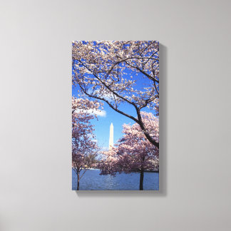 Impressão Em Tela Cereja floresce em Washington DC