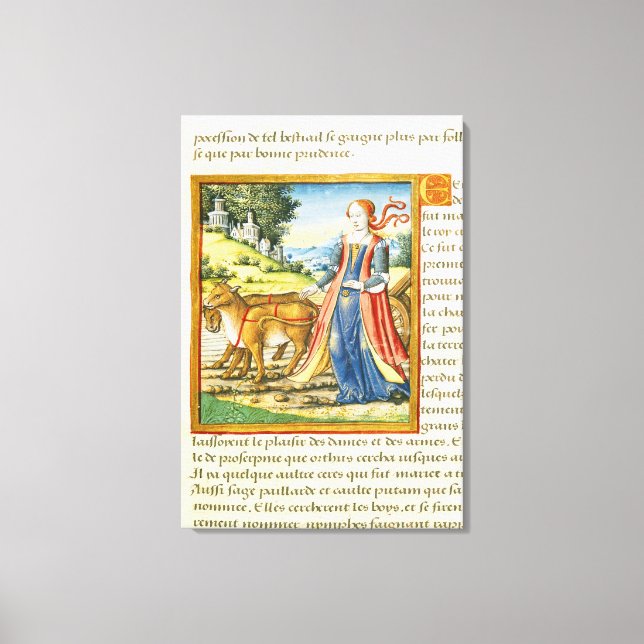 Impressão Em Tela Ceres (Frente)