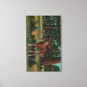Impressão Em Tela Cervos do fanfarrão no parque nacional de Yosemit