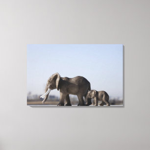 Impressão Em Tela Céu azul de fundo de família do elefante