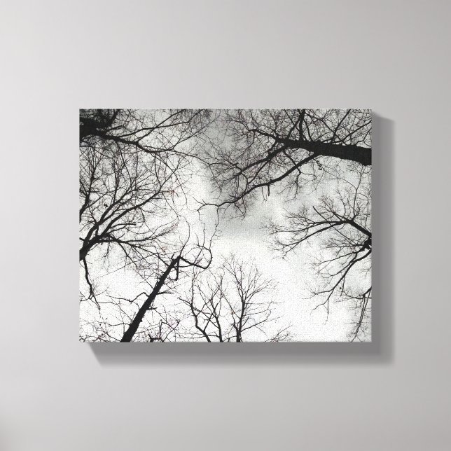 Impressão Em Tela Céu Nublado das Árvores de Inverno (Frente)