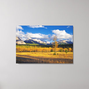 Impressão Em Tela Céus azuis e nuvens acima de um campo