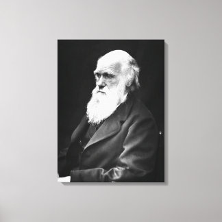 Impressão Em Tela Charles Darwin Portrait