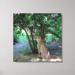 Impressão Em Tela Cheetah
