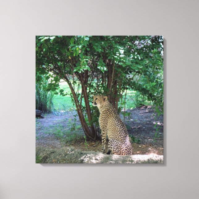Impressão Em Tela Cheetah (Frente)