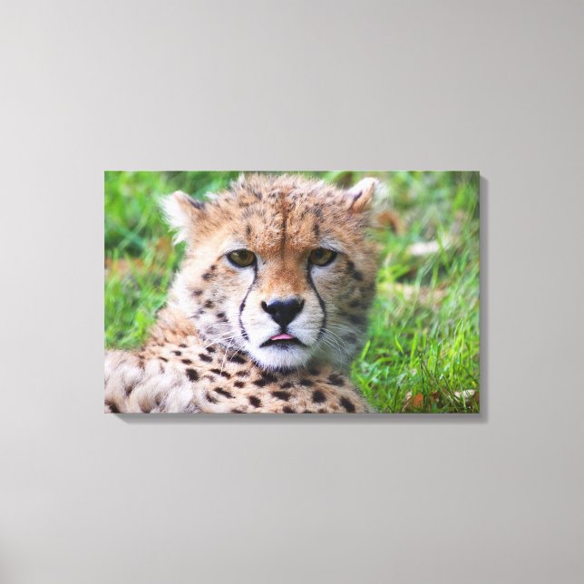 Impressão Em Tela Cheetah (Frente)