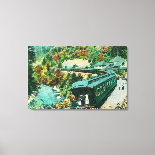 Impressão Em Tela Chegando aos Primaveras (Frente)