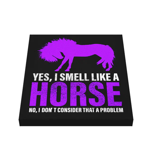Problema do Cavalo