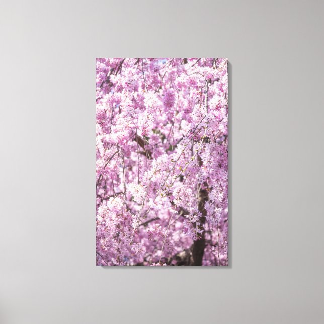 Impressão Em Tela Cherry Blossom Primavera (Frente)