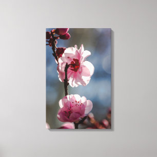 Impressão Em Tela Cherry Blossoms na Sunshine Triptych Art