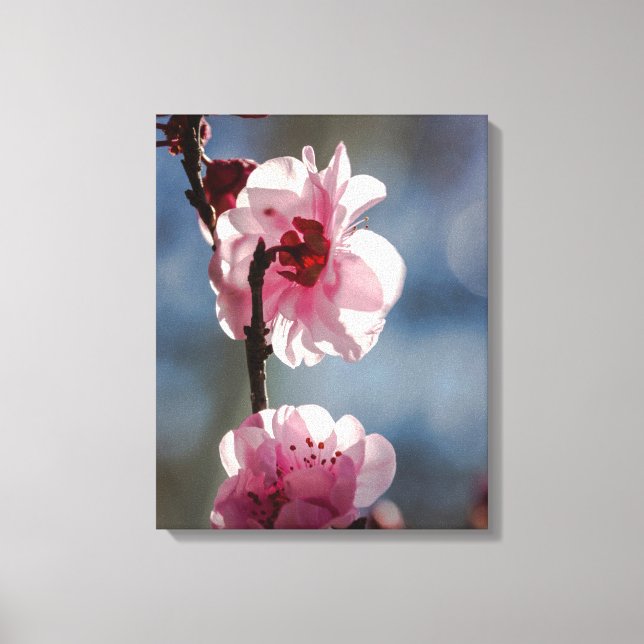 Impressão Em Tela Cherry Blossoms na Sunshine Triptych Art (Frente)
