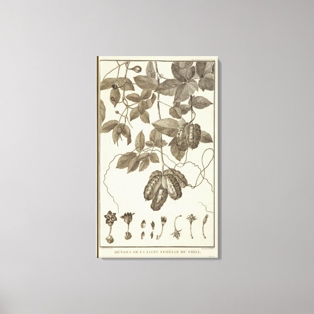 Impressão Em Tela Chile 10 (Frente)