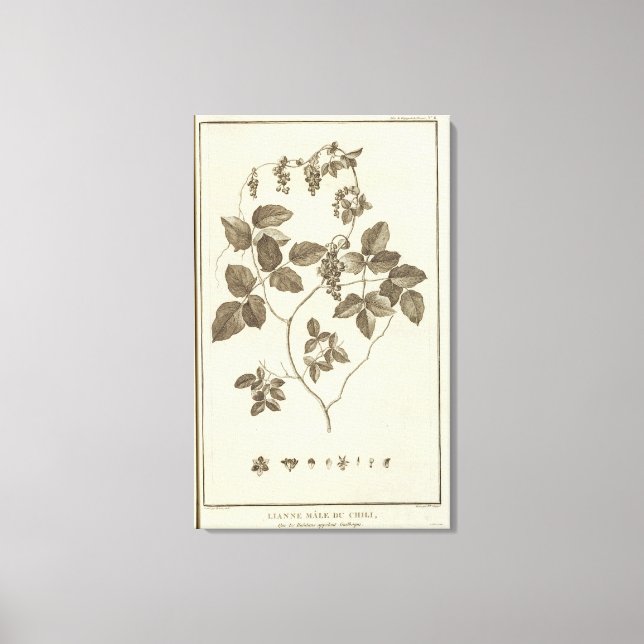 Impressão Em Tela Chile 8 (Frente)