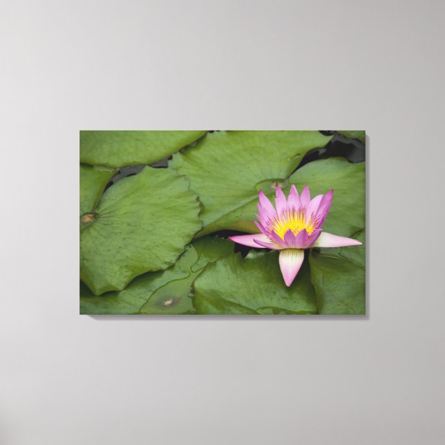 Impressão Em Tela China, Hong Kong, Novos Territórios. Chi Lin (Frente)