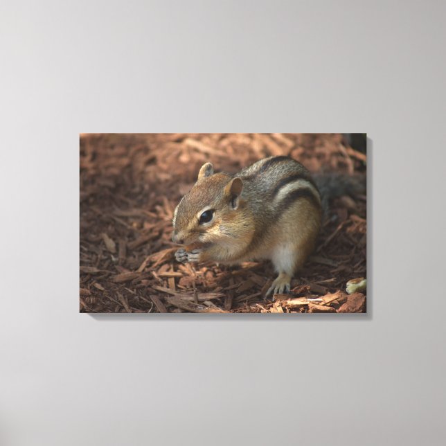Impressão Em Tela Chipmunk (Frente)