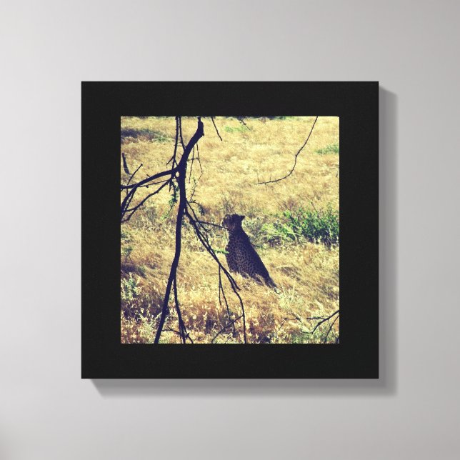 Impressão Em Tela Chita em Samburu (Frente)