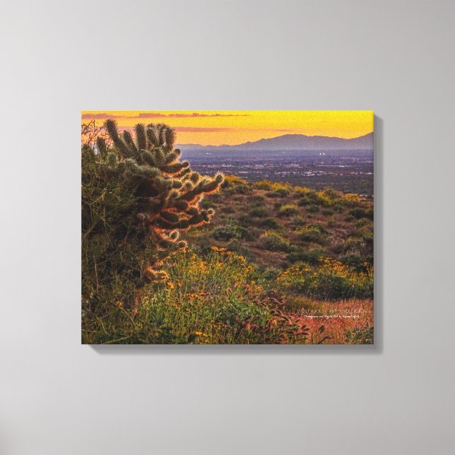 Impressão Em Tela Cholla Cactus Desert Flowers Arizona Sunset 20x16 (Frente)