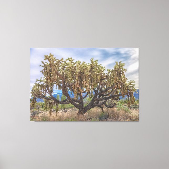 Impressão Em Tela Cholla Fruta Encadeada (Frente)