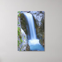 Christine Falls Cénico