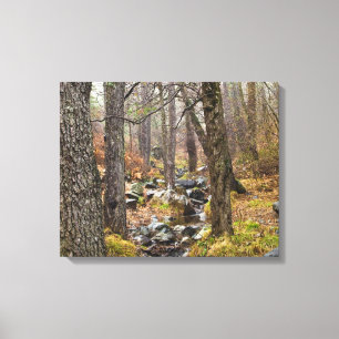 Impressão Em Tela Cipre natureza paisagem Troodos floresta árvores c