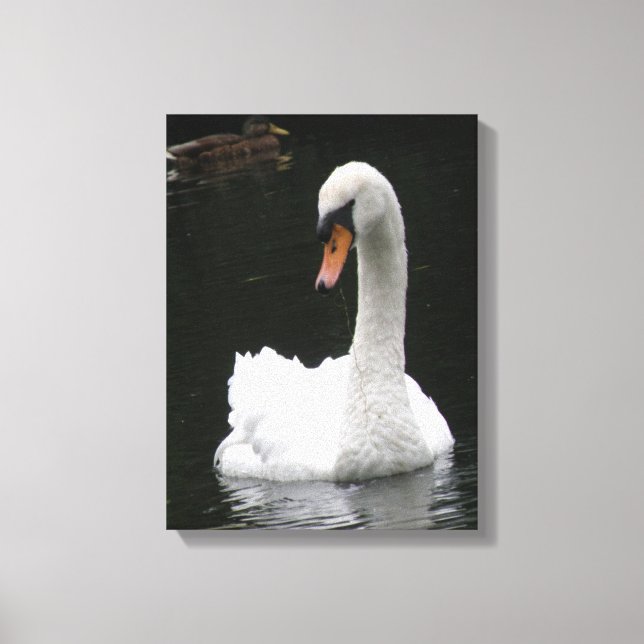 Impressão em Tela Cisne Branco (Frente)