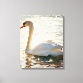 Impressão Em Tela Cisne Branco Em Um Lago