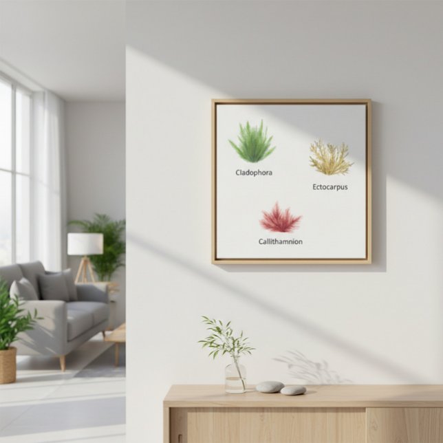 Impressão Em Tela Cladophora Desenhada À Mão, Ectocarpus Seaweed (Criador carregado)