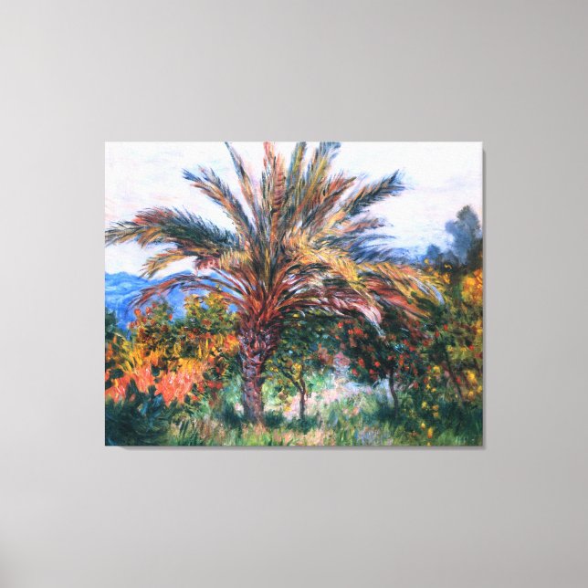 Impressão Em Tela Claude Monet: Palm Tree em Bordighera (Frente)