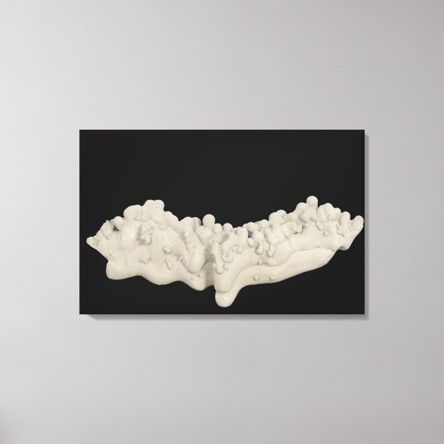 Impressão Em Tela Clay Concretion (Frente)